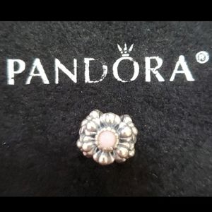 Pandora Birthday Blooms Charm